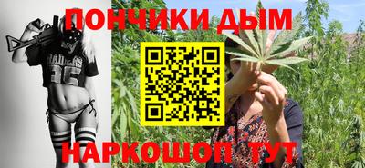 молекула духа Бердск