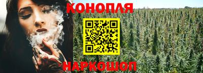 молекула духа Бердск