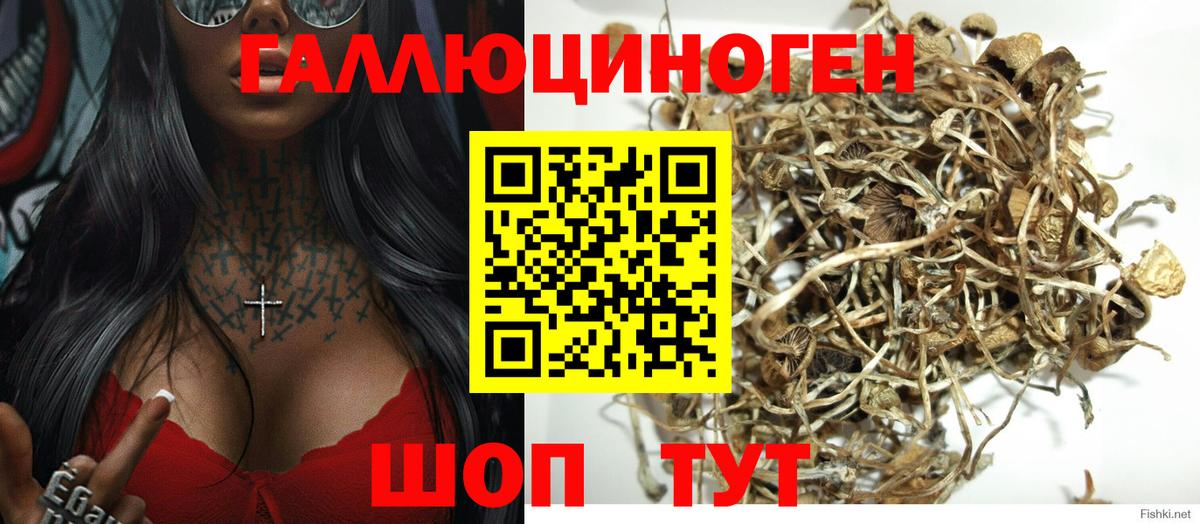 Псилоцибиновые грибы прущие грибы Верхний Уфалей